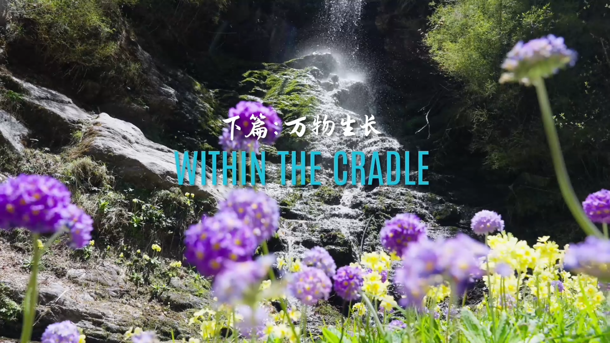微信图片_2026-10-10_153427_701.png