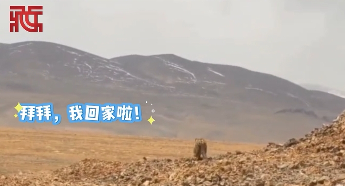 封面111.png