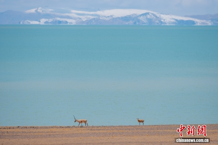 ScreenShot_2026-03-30_152205_475